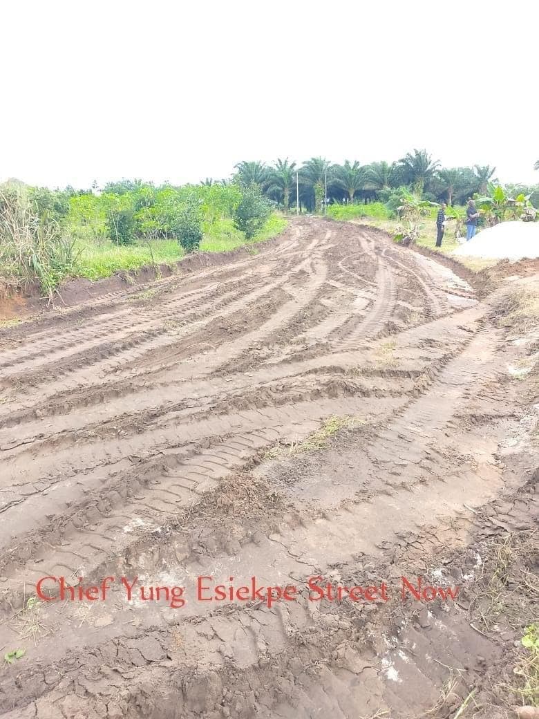 Grading of Earth Road Across Communities